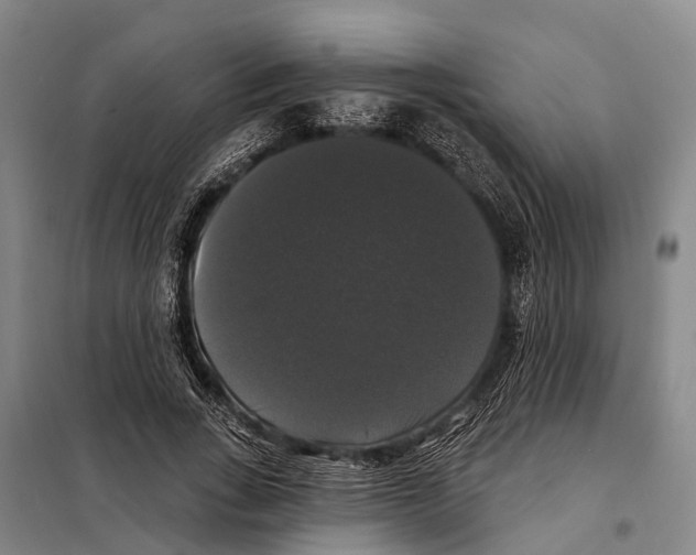 X0000097990735200804211103