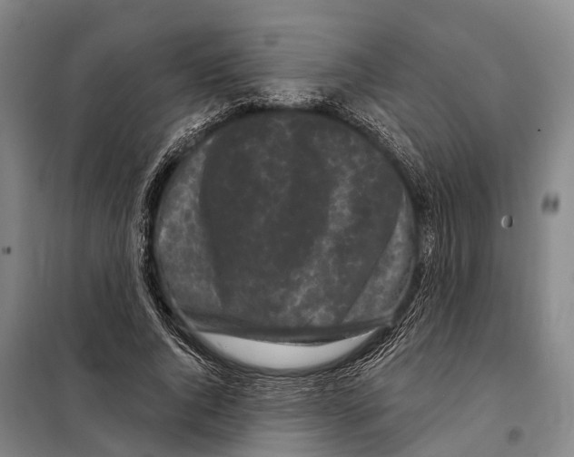 X0000097990736200804211103