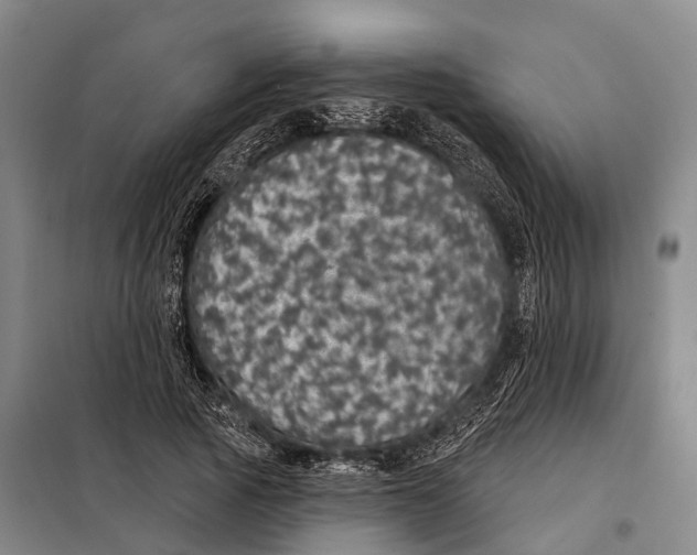 X0000097990737200804211103