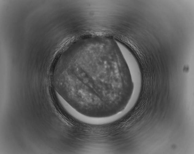 X0000097990738200804211103