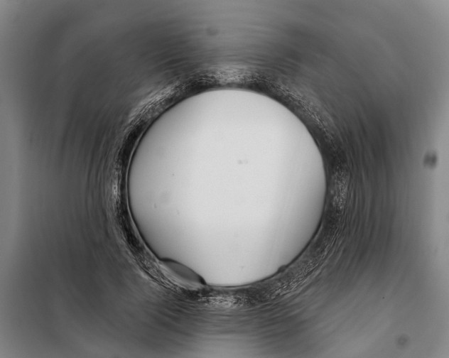 X0000097990740200804211104