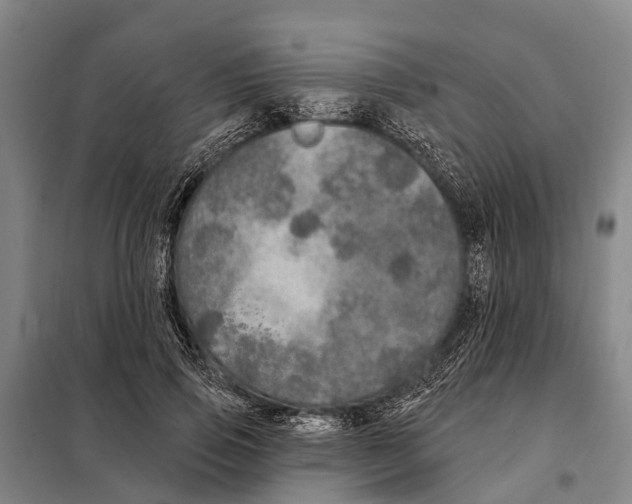 X0000097990741200804211104