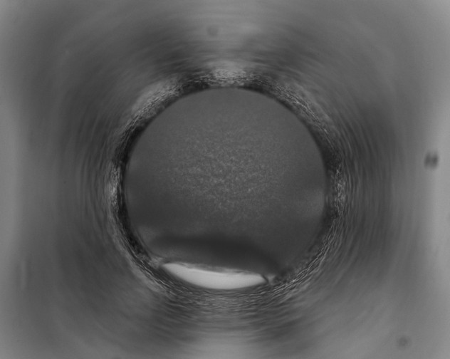 X0000097990742200804211104