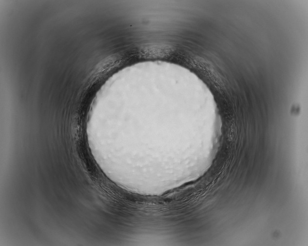 X0000097990743200804211104