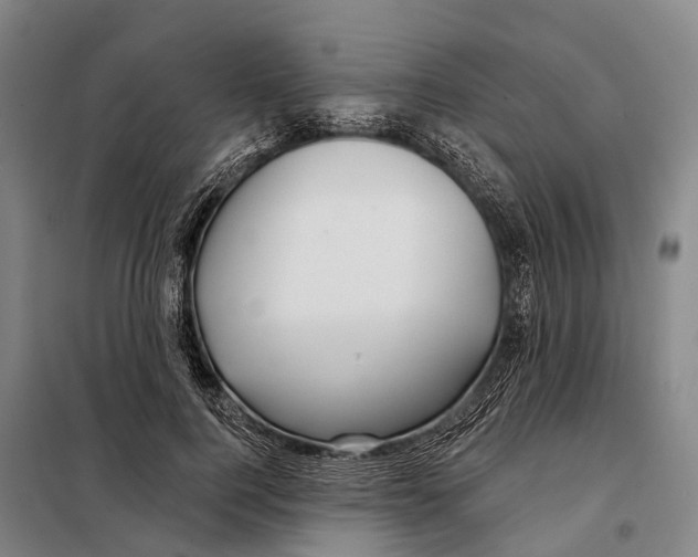 X0000097990744200804211104