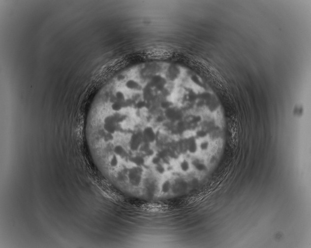 X0000097990745200804211104