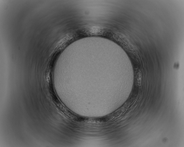 X0000097990746200804211104