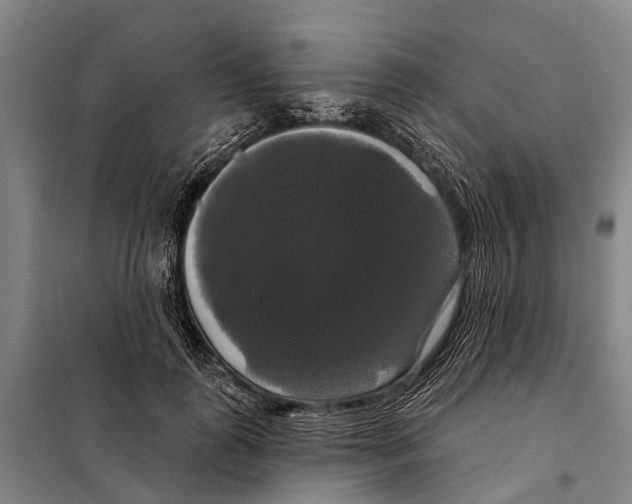 X0000097990747200804211104