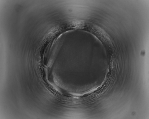 X0000097990748200804211104