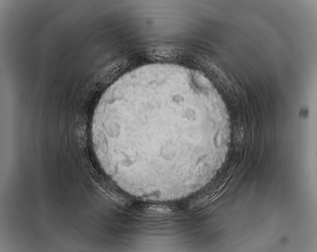 X0000097990749200804211104