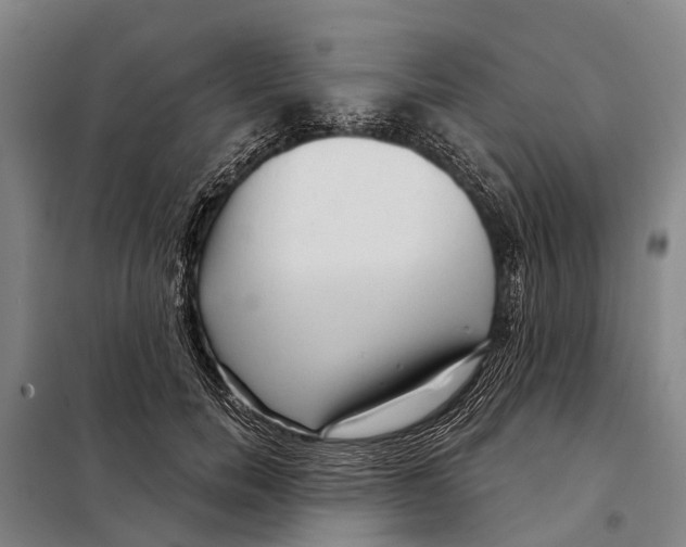 X0000097990750200804211104