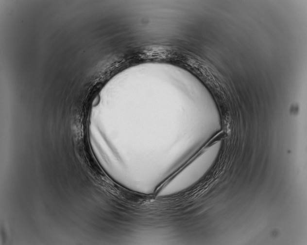 X0000097990751200804211104