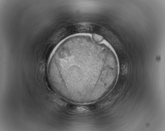 X0000097990753200804211104