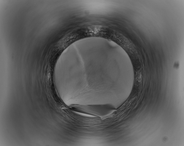 X0000097990754200804211104