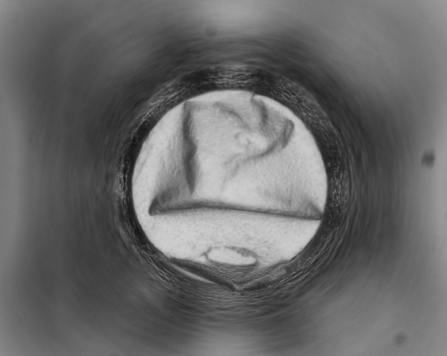 X0000097990755200804211104