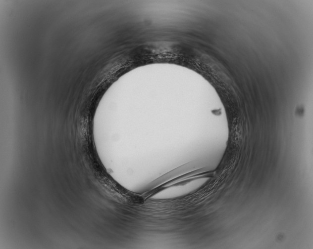 X0000097990756200804211104