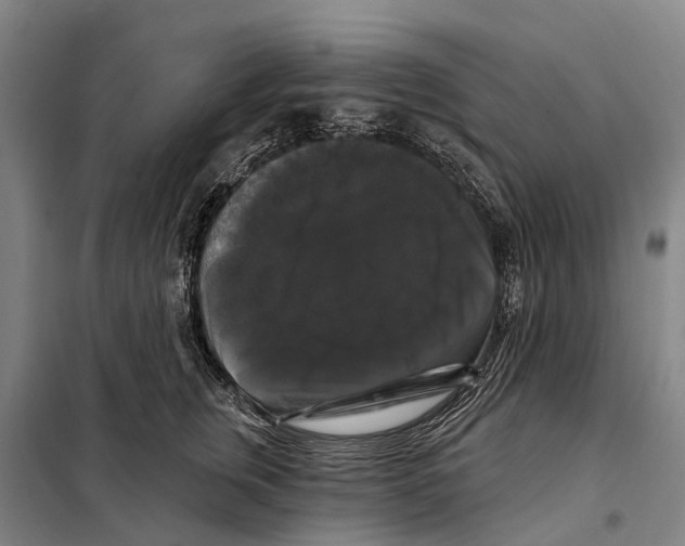 X0000097990759200804211104