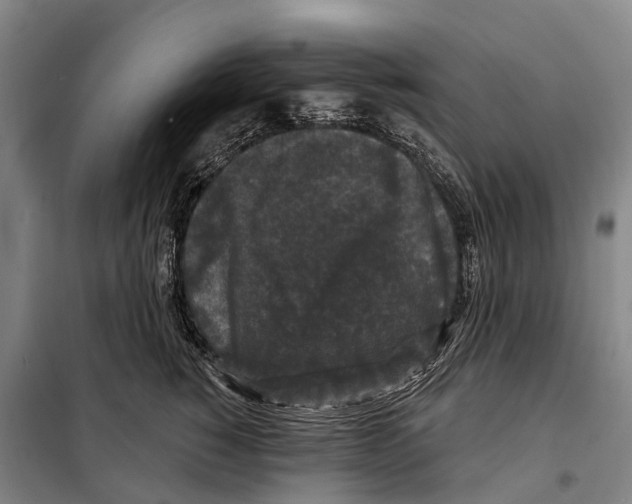 X0000097990760200804211104