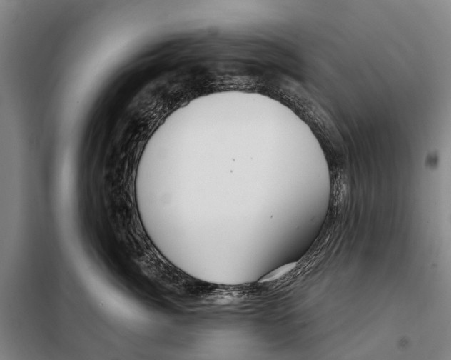 X0000097990764200804211104