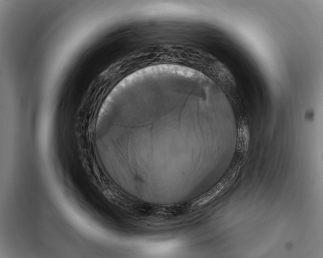 X0000097990765200804211104