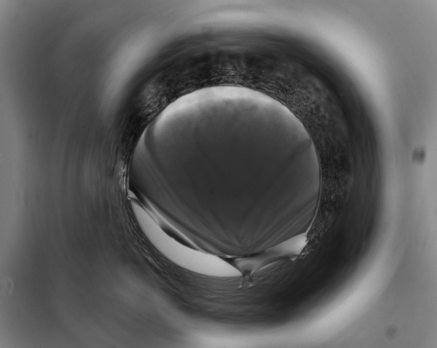 X0000097990766200804211104