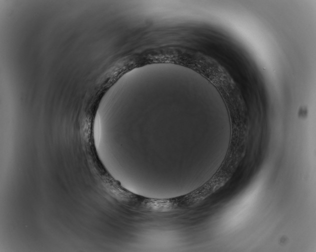 X0000097990767200804211104