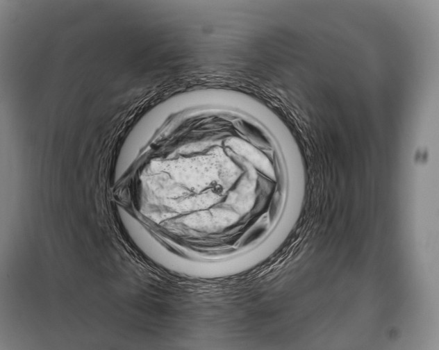 X0000097990769200804211103