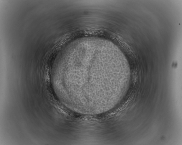 X0000097990770200804211103