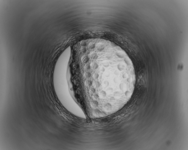 X0000097990772200804211103