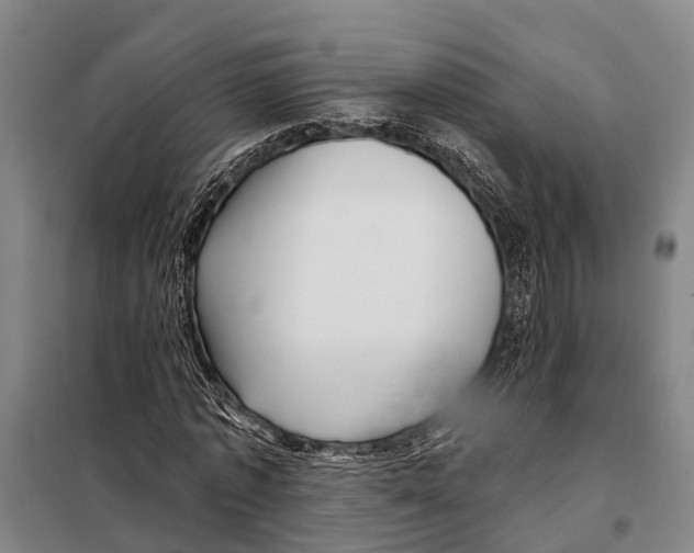 X0000097990773200804211103