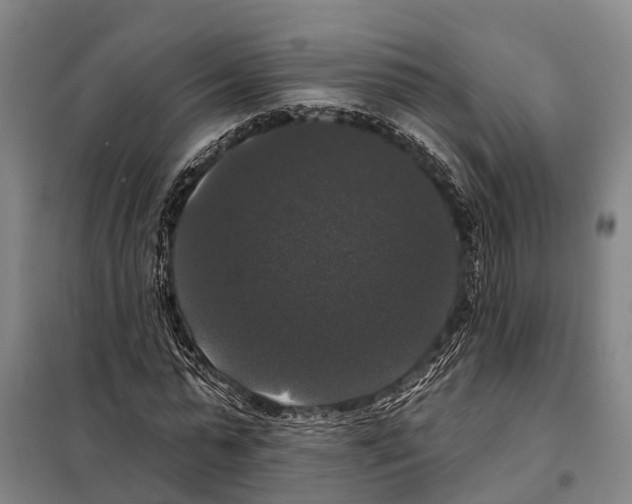 X0000097990775200804211103