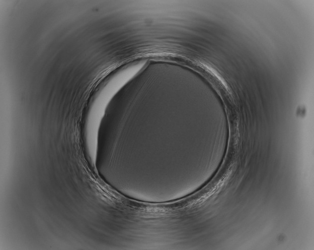 X0000097990777200804211103