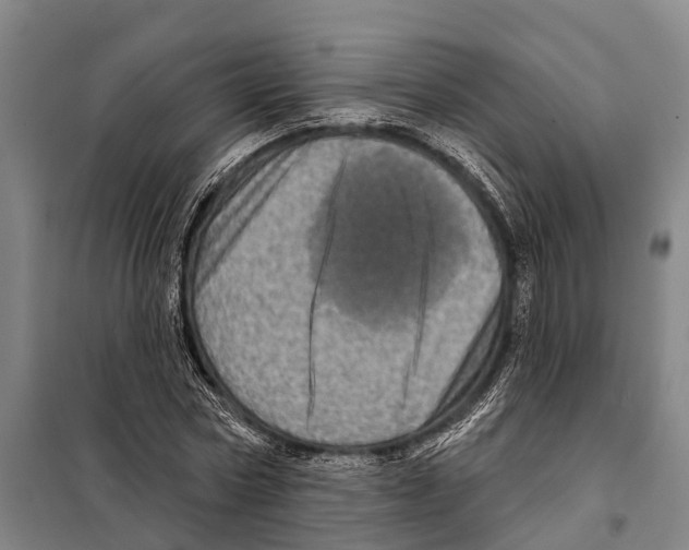 X0000097990778200804211103