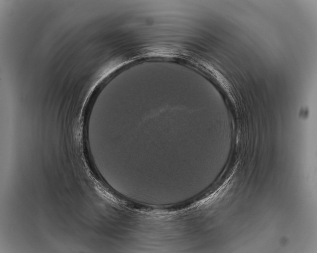 X0000097990779200804211103