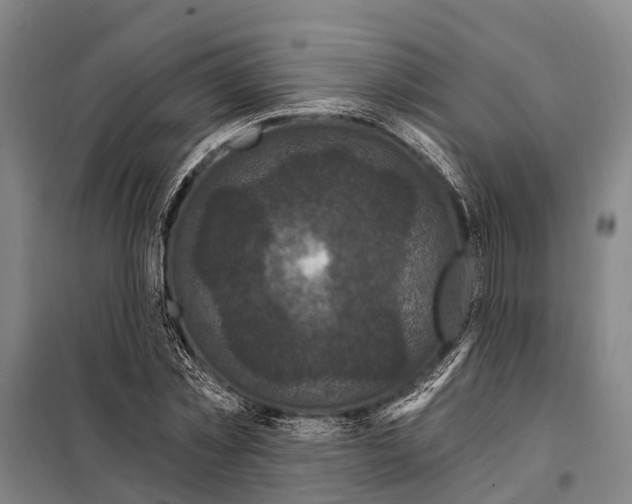 X0000097990781200804211103