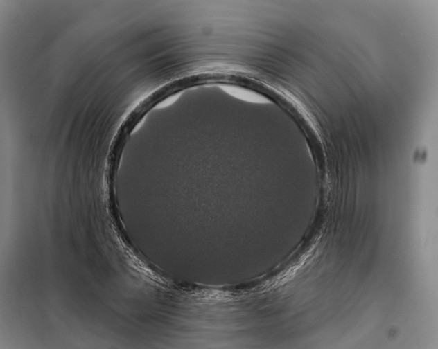 X0000097990783200804211103