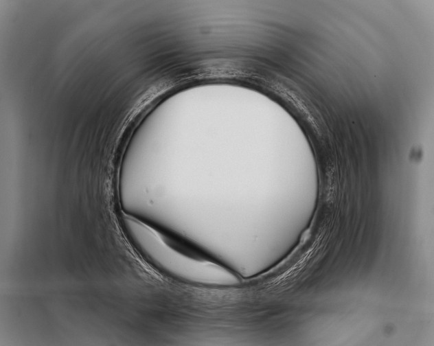 X0000097990786200804211103