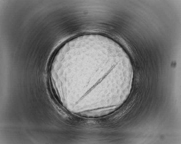 X0000097990787200804211103