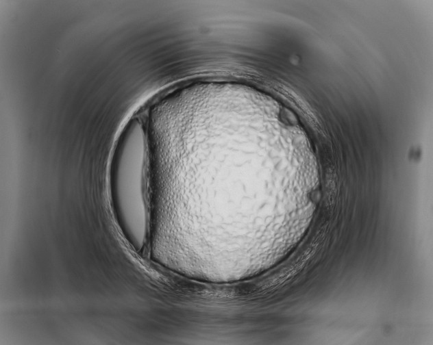 X0000097990788200804211103