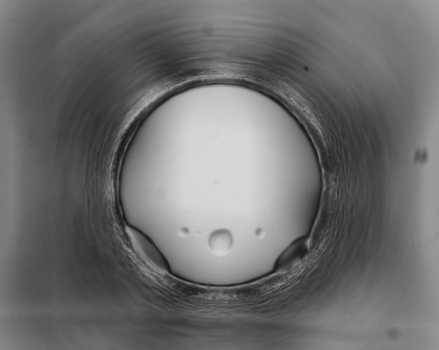 X0000097990789200804211103