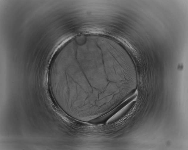 X0000097990790200804211103