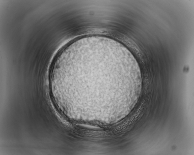 X0000097990792200804211103