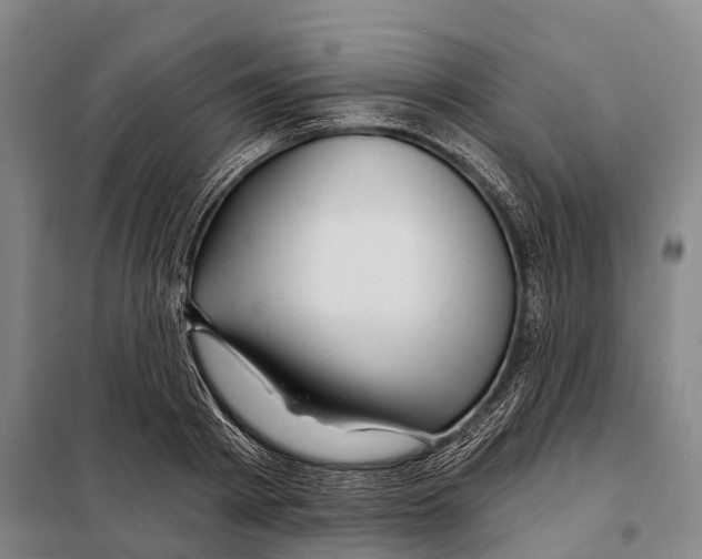 X0000097990793200804211103