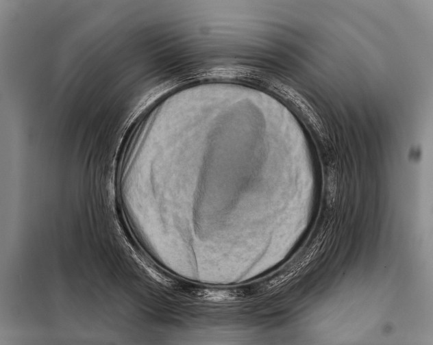 X0000097990794200804211103