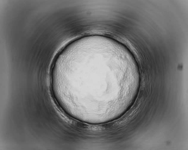 X0000097990795200804211103