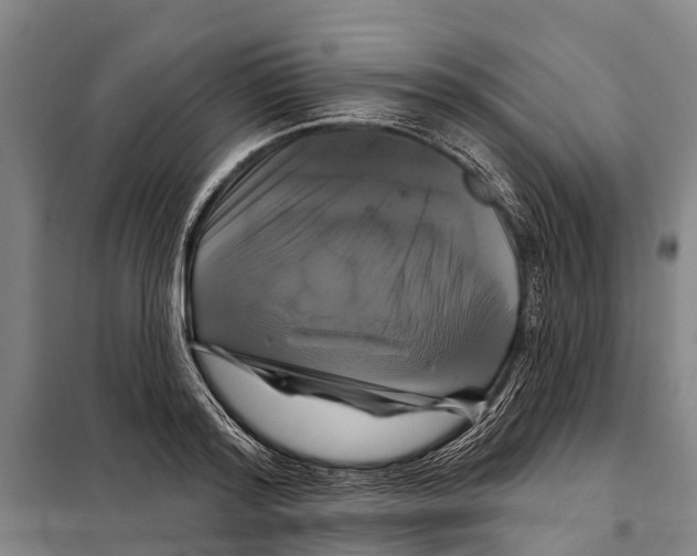 X0000097990796200804211103