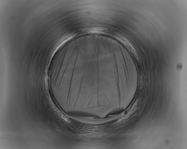 X0000097990798200804211103