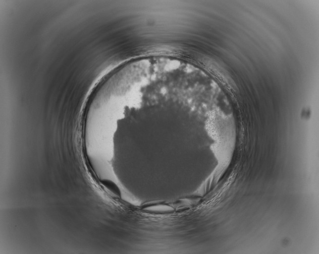 X0000097990800200804211103