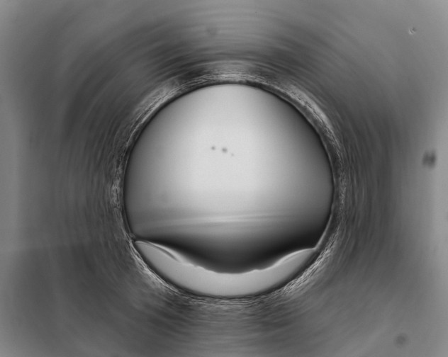 X0000097990801200804211102