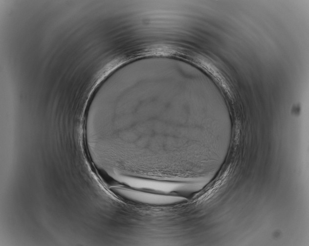 X0000097990802200804211102